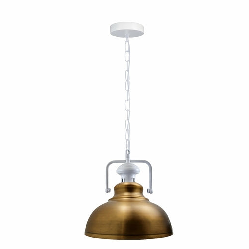 Pendant Barn Light with Chain Indoor Lighting Various Colours