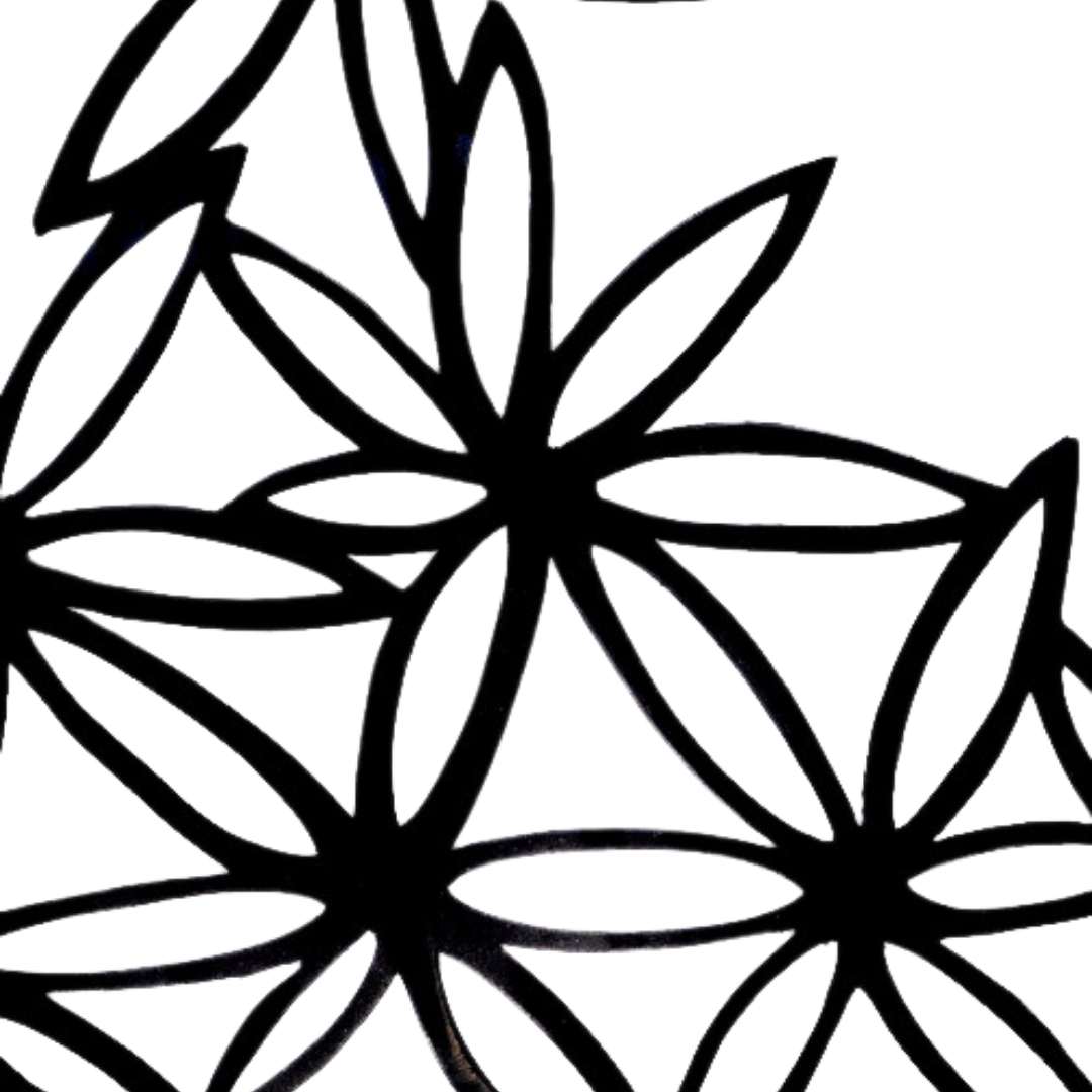 Pentas black statement choker close up
